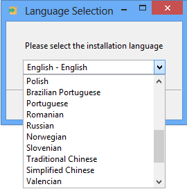 English Only Language Selection